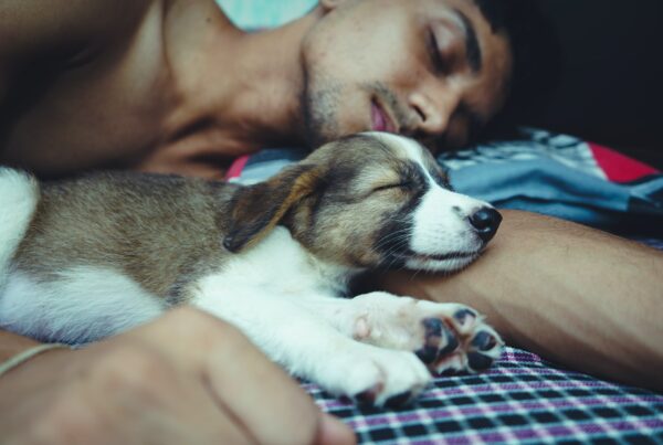 slapende man en puppy - marketing - Het Schrijfpaleis